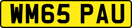 WM65PAU