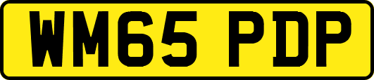 WM65PDP