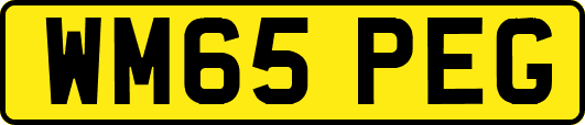 WM65PEG