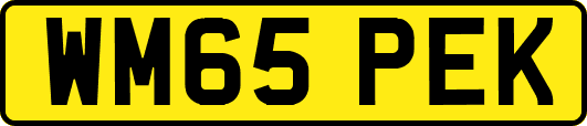 WM65PEK