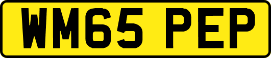 WM65PEP