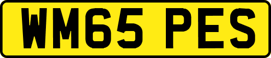 WM65PES