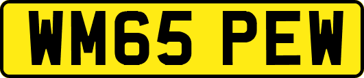 WM65PEW