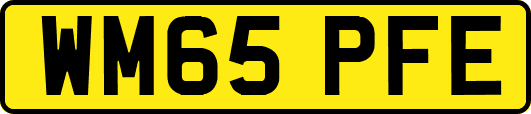 WM65PFE