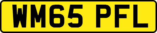 WM65PFL