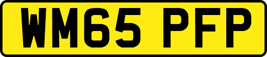 WM65PFP