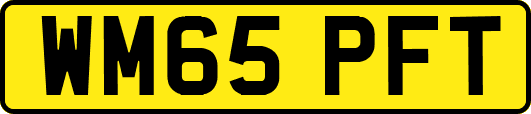 WM65PFT