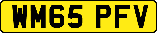 WM65PFV