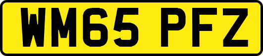 WM65PFZ