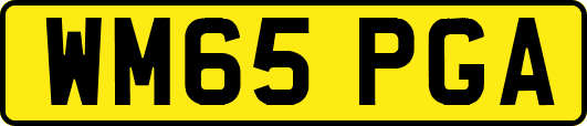WM65PGA