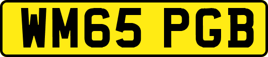 WM65PGB