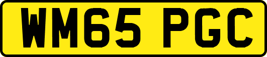WM65PGC