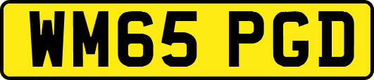 WM65PGD