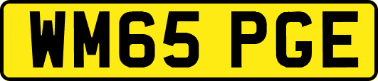 WM65PGE