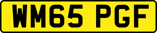 WM65PGF