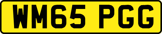 WM65PGG