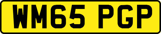 WM65PGP