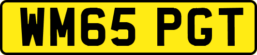 WM65PGT