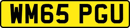 WM65PGU