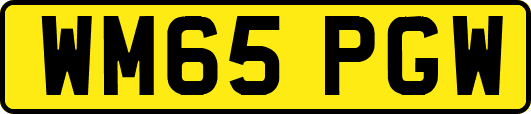 WM65PGW