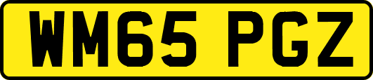 WM65PGZ