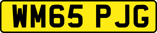 WM65PJG