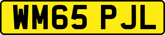 WM65PJL