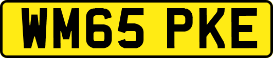 WM65PKE