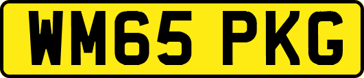 WM65PKG
