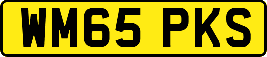WM65PKS