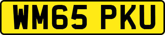 WM65PKU