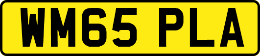 WM65PLA