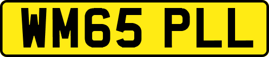 WM65PLL