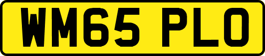 WM65PLO