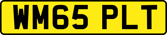 WM65PLT