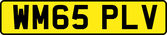 WM65PLV