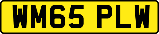 WM65PLW