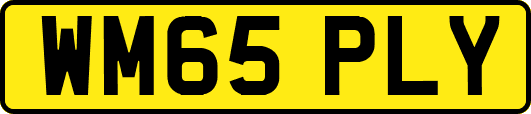 WM65PLY
