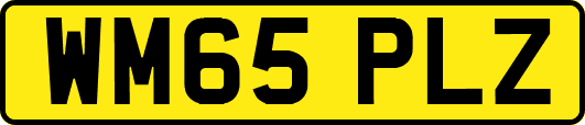 WM65PLZ