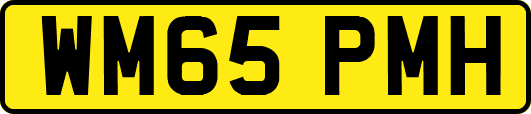WM65PMH