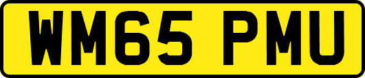 WM65PMU