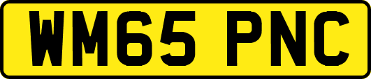 WM65PNC
