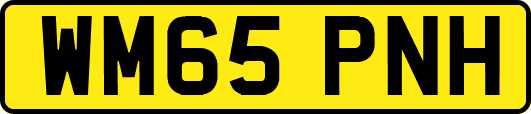 WM65PNH