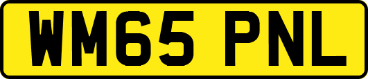 WM65PNL