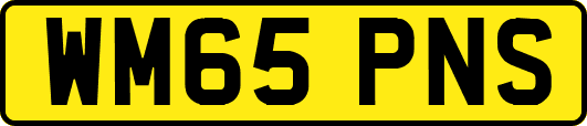 WM65PNS
