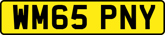 WM65PNY