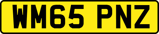 WM65PNZ