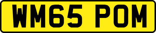 WM65POM