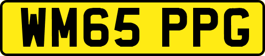 WM65PPG