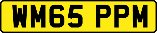 WM65PPM